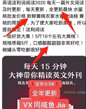 揭秘闲鱼新蓝海玩法：全动化流量月入上万