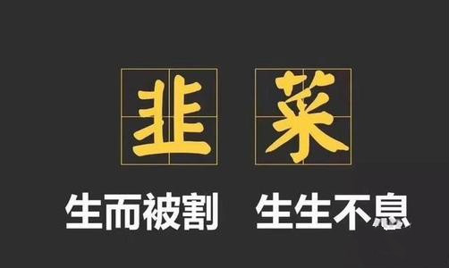 网赚圈割韭菜法则，网上赚钱不被割指南