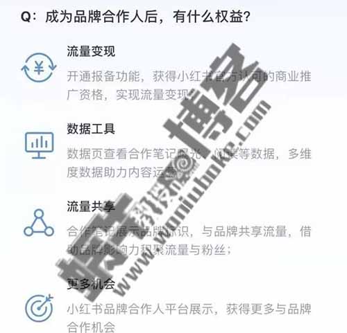 实操小红书引流及赚钱整套方案，玩爆小红书必学