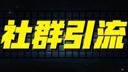 社群引流营销方案及案例技巧，帮你日引流30-100人