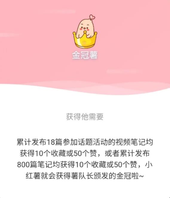 关于小红书养号的技巧已经都在这里了