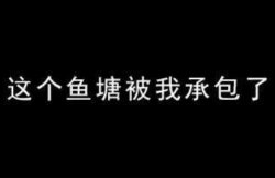 闲鱼暴力引流之搭建私域流量池，自己当闲鱼塘主