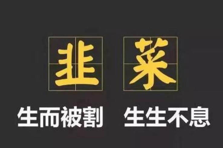 做韭菜是为了以后不做韭菜，买项目是为了以后不再买项目