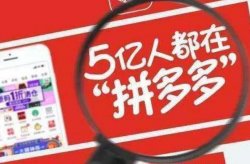 借助拼多多六天狂赚165000项目拆解，赚钱就是解决问题