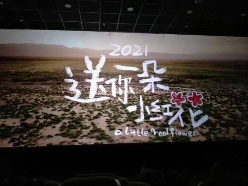 一单赚10元，轻松日赚200的送你一朵小红花电影票代订项目