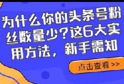 为什么你的头条号粉丝数量少?这6大实用方法，新手需知