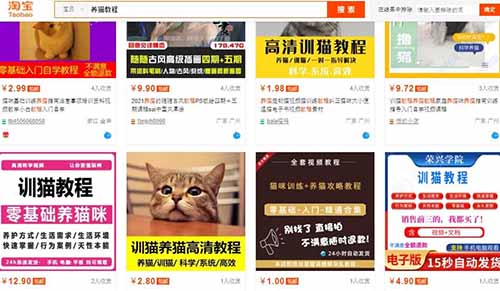 养猫教程攻略日赚千元蓝海项目，学会粘贴复制即可