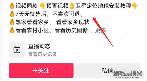 三维立体地球，零成本虚拟副业项目，只要肯坚持，月入10000+