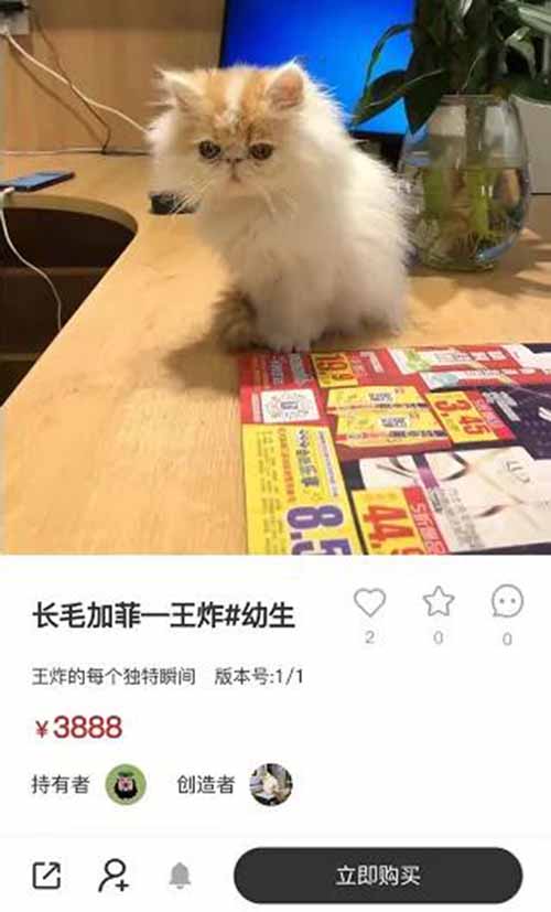 一副虚拟画卖1050万美元，NFT和元宇宙是什么？