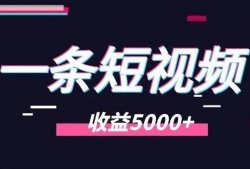 玩赚中视频计划，一个短视频如何赚5000+