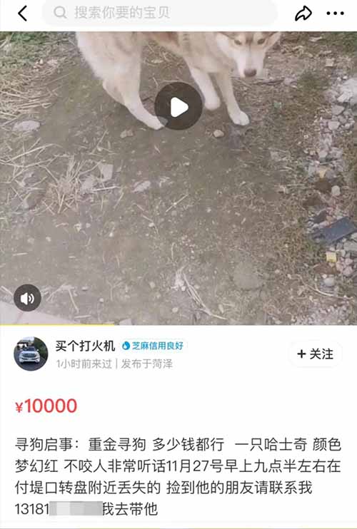 寻宠师一天2单赚10000，两个月赚10万的赏金寻宠偏门暴利项目