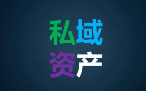 怎样理解“私域资产”的打造与积累？