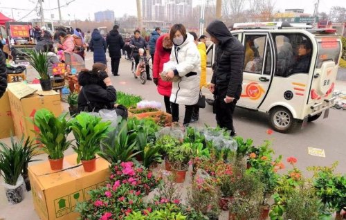 春节前暴利小生意，收入5-30万，比打工可强太多了