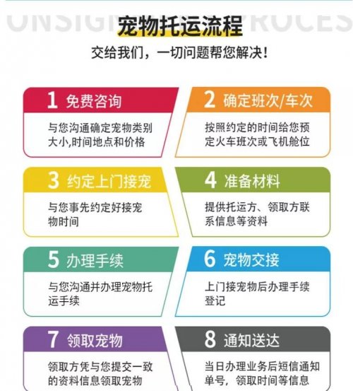 宠物托运项目月入30万，托运宠物一单赚750，这行业实在是暴利