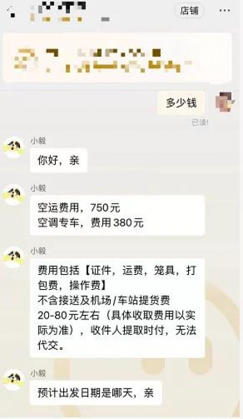 宠物托运项目月入30万，托运宠物一单赚750，这行业实在是暴利