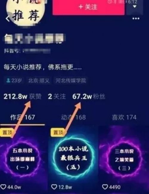 小说cps项目，持续变现68万