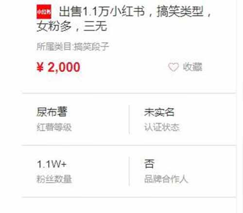 小红书搬砖项目，新手都可以都可以月入10000+