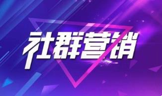 淘客社群：5人团队20万起盘一年翻15倍，每月持续盈利30万+背后的项目操盘拆解