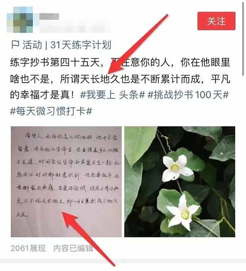 微头条抄书项目，只需无脑搬运，轻松月赚6000+