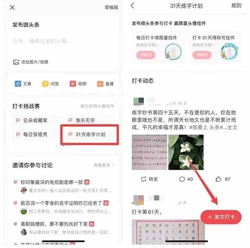 微头条抄书项目，只需无脑搬运，轻松月赚6000+