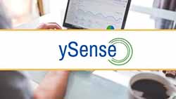 ySense国外问卷调查项目玩法，让你一个多赚几千美金的项目