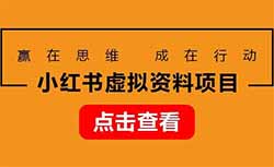 小红书虚拟资料项目，日赚1000+，附保姆式详细教程