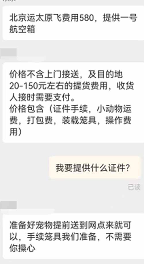 三个宠物行业赚钱方法，春节期间能赚2万块的生意