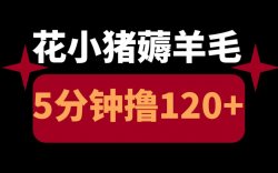 花小猪撸120元教程，附白嫖120元视频操作教程