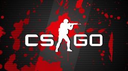 搬砖项目之CSgo详细教程，CSgo网易buff搬砖利润过万