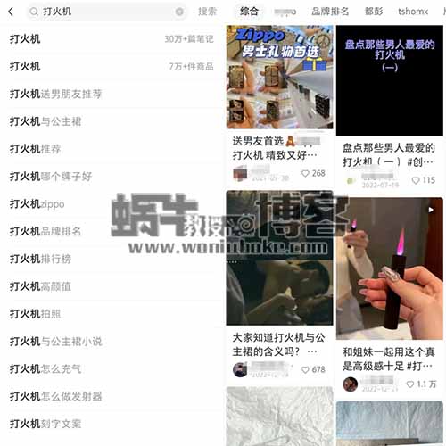 小红书电商无货源项目思路，从开店到选品的一些玩法