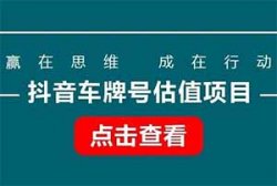 抖音车牌号估值、电话号估值项目，操作简单，日收300+（直播间搭建+渠道+话术）