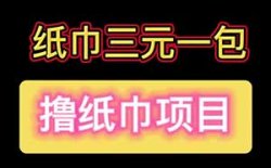 拆解果冻宝盒低价纸巾副业思路，提供销售教程与玩法分享