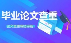 刚需市场“论文查重”副业思路，掌握方法轻松月入过万