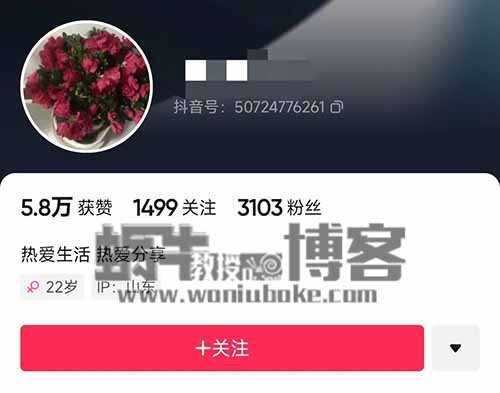 最近爆火的抖音小程序项目，新手一个作品赚了60000+