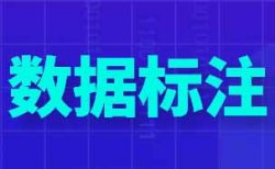 收费2000+到1w+的数据标注项目拆解，能否日入七八百？对接几个免费做的平台