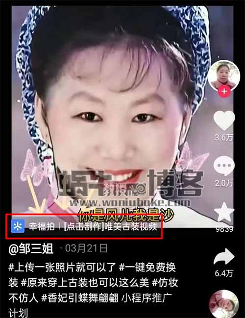 抖音AI换脸项目，60后阿姨，单条视频变现4万+，附详细实操教程