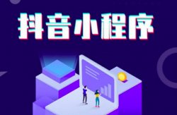 分享一个抖音风口的小程序挂载制作，简单制作，持续收益