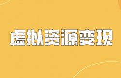 虚拟资源赚钱秘籍，学会日赚1000+