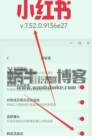 小红书信息差项目，设置群禁言一单99，日赚500+