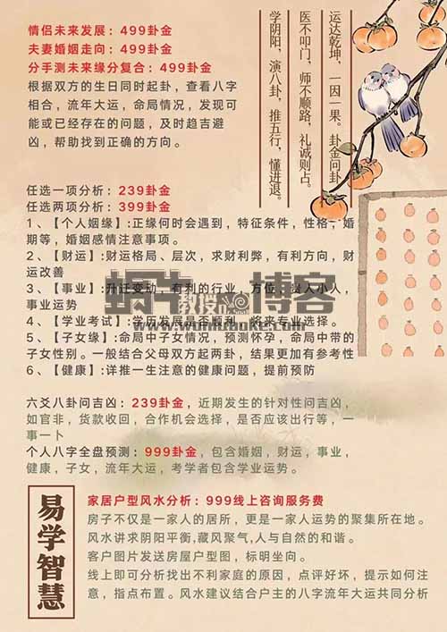 5天引流30人变现800+,普通人也能做的命理粉引流实操