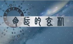 5天引流30人变现800+，普通人也能做的命理粉引流实操