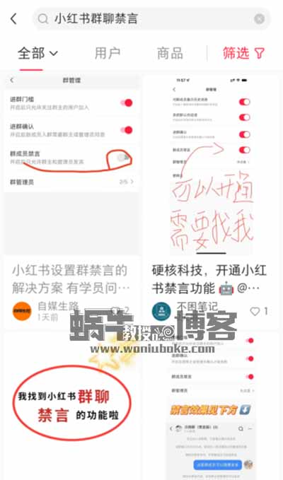 小红书群禁言虚拟项目，0成本一单99元，一天收益几百+