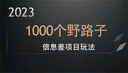 1000个野路子信息差视频，一天搞200+精准流量，日变现达3000+？到底是如何制作的？