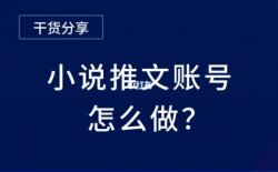 小说推文单条作品变现5位数，有教程