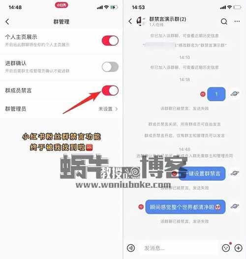 【信息差项目】操作小红书群禁言，一单100，一天搞上千，附教程+工具