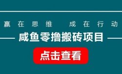 咸鱼零撸搬砖项目，每天十分钟，收益10-50+，无脑复制粘贴