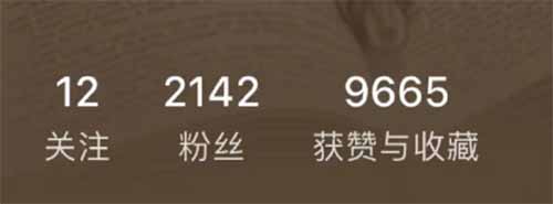 小红书虚拟项目，无门槛可复制，单号月入1万+（附保姆级教程）