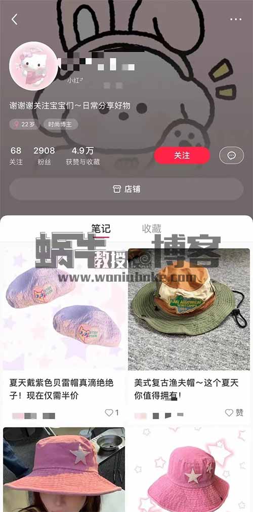 另类笔记玩法，小红书单个账号变现2W+