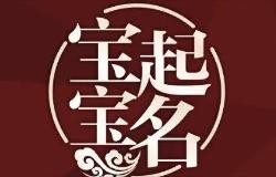 零成本宝宝起名项目，长期可操作，日入500+