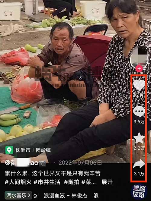 【项目拆解】生活实景号：最简单的短视频玩法，人人都可以做，特别适合新手